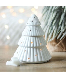 BRULE PARFUM SAPIN BLANC